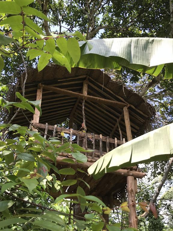 فندق Plantation Retreat Pathadumbara المظهر الخارجي الصورة